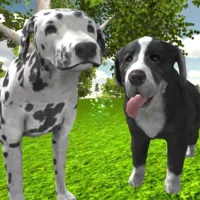 Dog Simulator 3D - OvO Unblocked