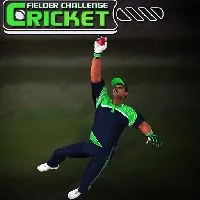 Cricket Fielder Challenge Game - OvO Unblocked